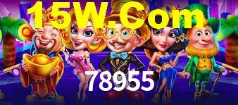 78955 App Interface